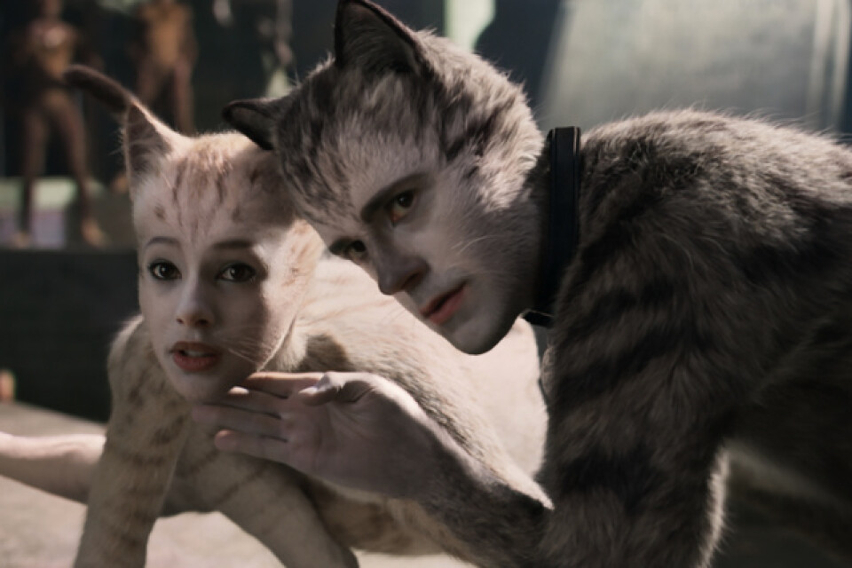 Katten Victoria (Francesca Hayward) dumpas hos Jellicle-katterna och möter Munkustrap (Robbie Fairchild) i "Cats". Pressbild.