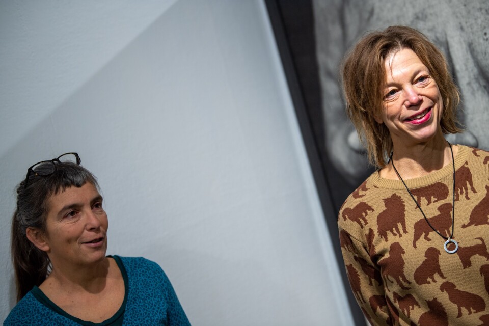 Anna Hadders, jobbar på Regionmuseet, och Annica Carlsson Bergdahl är socialarbetare och journalist, bosatt i Göteborg.