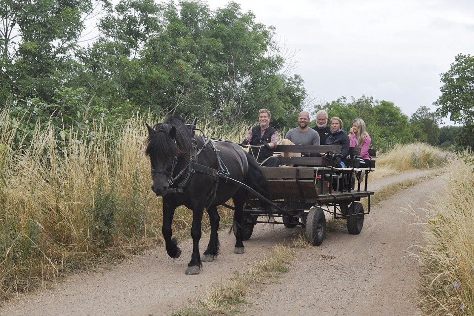 Efter en timmas körning kommer Stenne Alskans bakom tömmarna på Juvel tillbaka till byn med Idas pappa Håkan, farfar Per-Olof, faster Olivia och mamma Gabriella på vagnen.