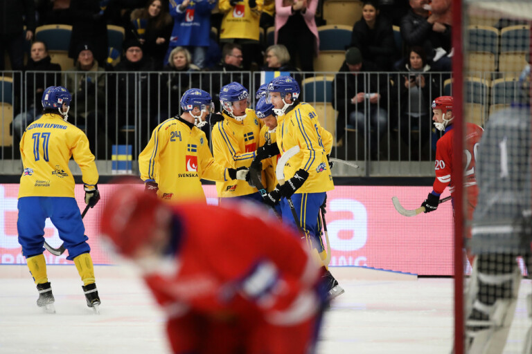 Sverige vill arrangera VM utan Ryssland