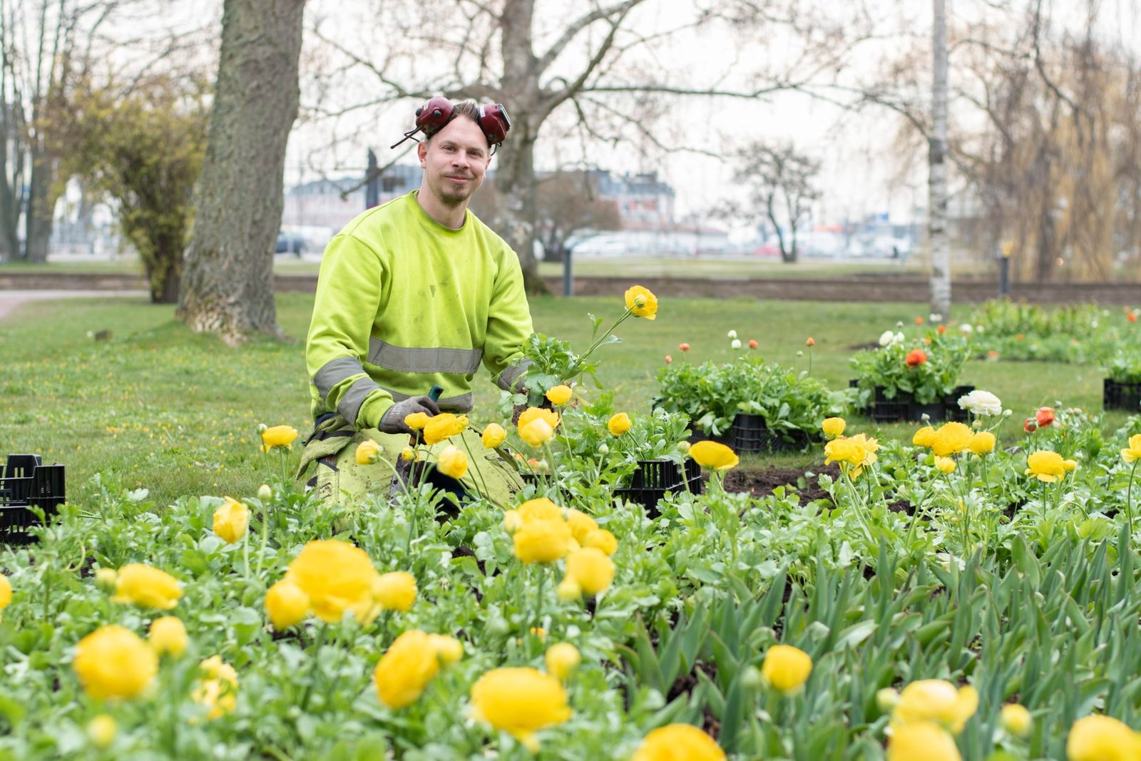 Johan Zakrisson arbetar snabbt med att plantera ranunkel och penséer i Stadsparken.