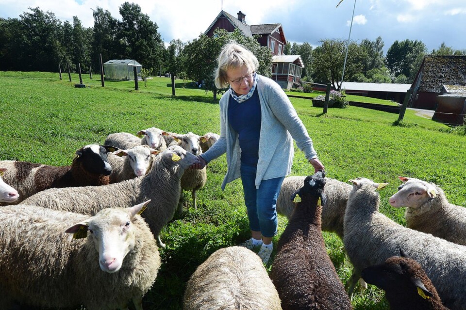 Ingrid Persson från Nedanbäcks gård. Gården säljer bland annat kött från nöt och lamm. Minst 15 producenter kommer till skördemarknaden.