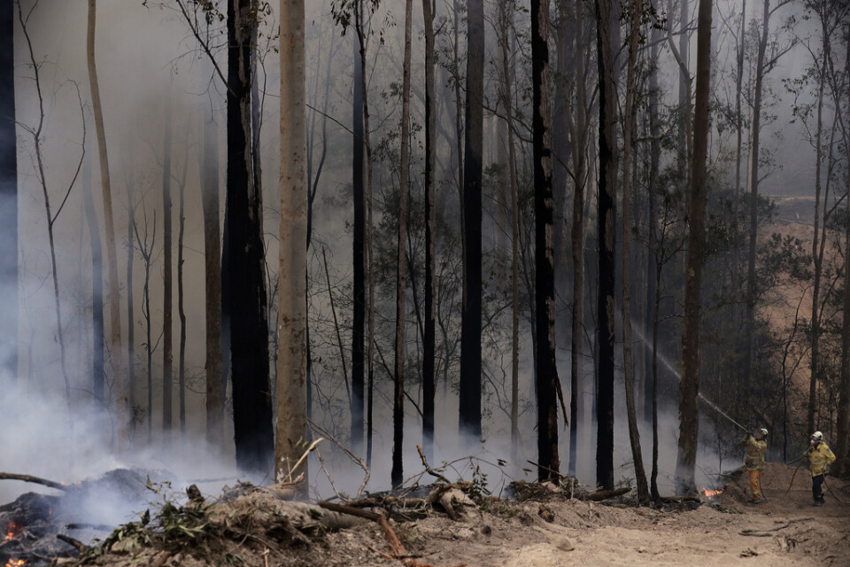 Bränderna i australiska New South Wales kan ta fart igen, när temperaturerna nu stiger.