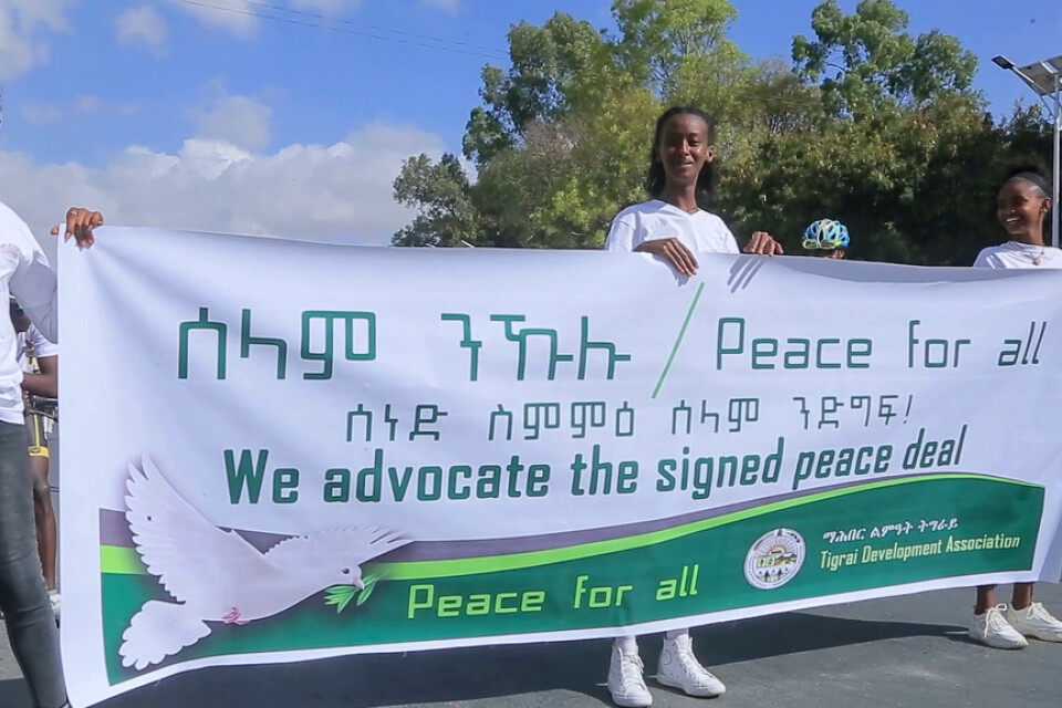 Flickor håller en banderoll som stödjer vapenvila mellan Etiopiens regering och rebellerna i Tigray i samband med en gatufestival i Mekele den 26 november.