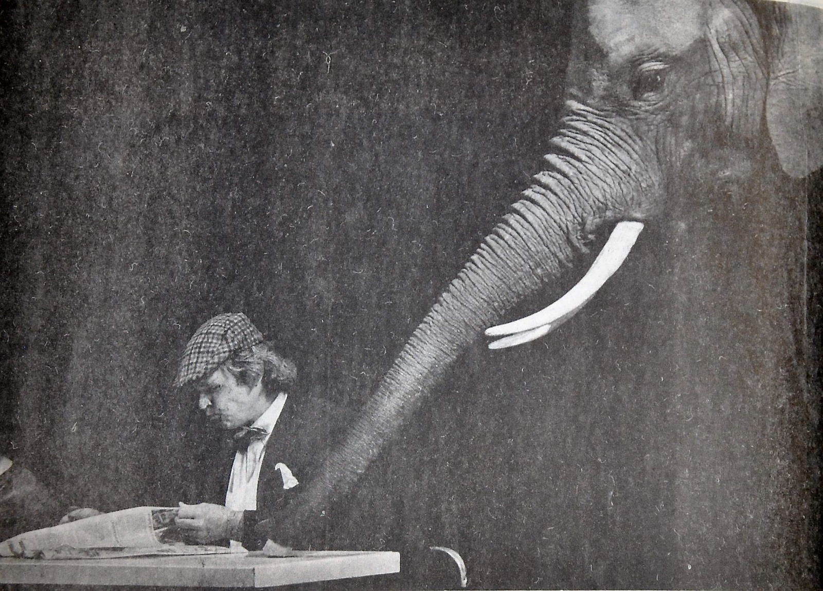 Ett och annat spratt spelade denna elefant Wendel Huber.
Arkiv: Gugge Nilsson