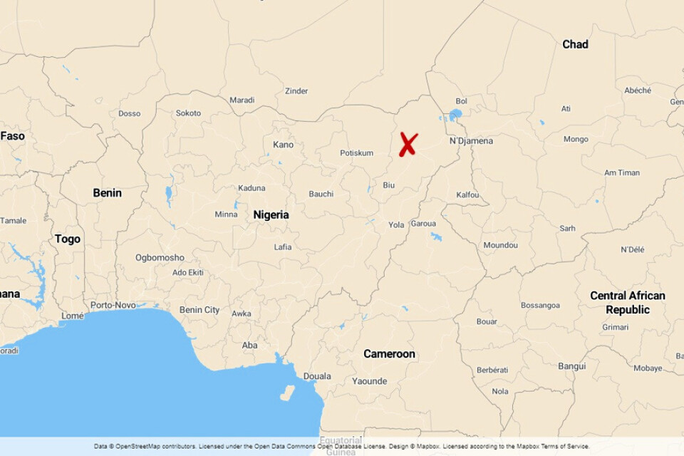20 människor uppges ha dödats i en ny attack i nordöstra Nigeria.