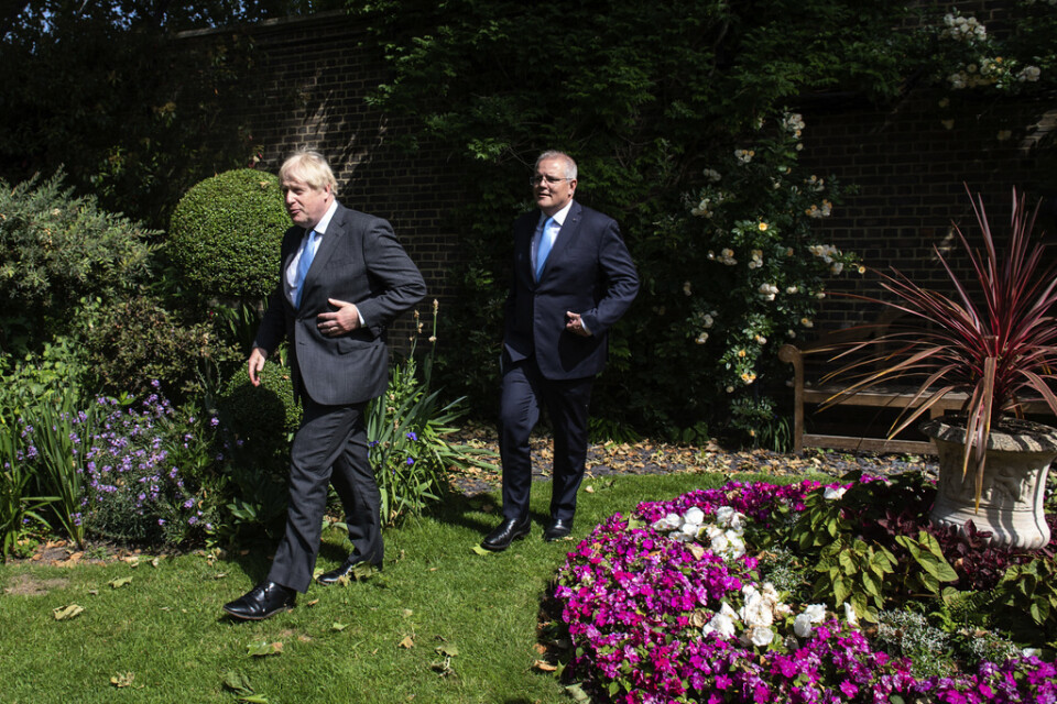 Hur mycket festligheter har Boris Johnson egentligen haft i grönskan? Denna bild från trädgården till residenset 10 Downing Street är tagen vid ett annat tillfälle, då australiske kollegan Scott Morrison var på besök i juni 2021.