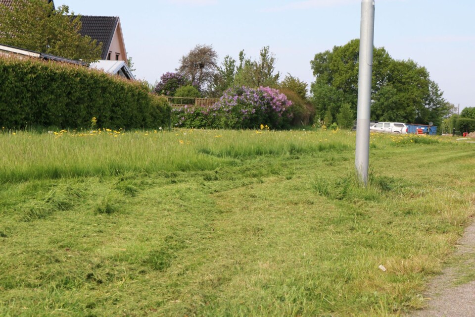 Mörbylånga kommun minskar gräsklippningen med 25 procent i fyra tätorter.