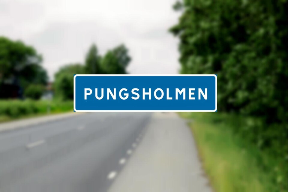 Utanför Väckelsång finns en ort som heter Pungsholmen. Foto: Montage: Oscar Appelgren