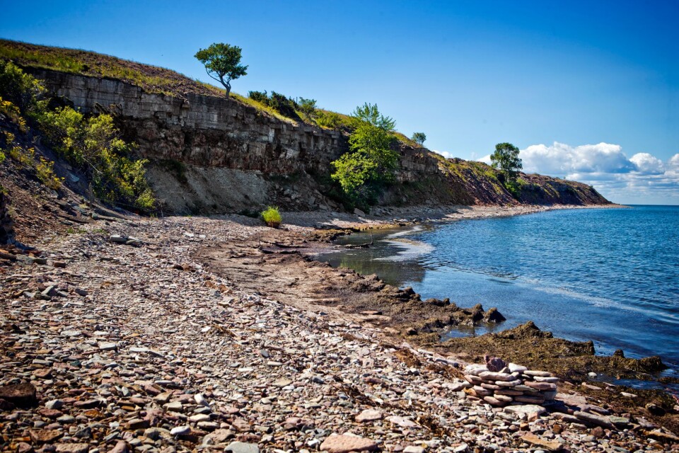 Insändarskribenten föreslår att kusten från Äleklinta upp till Byrum ska göras om till ett reservat för att ”maximalt gynna naturen och det rörliga friluftslivet från exploatörerna”.