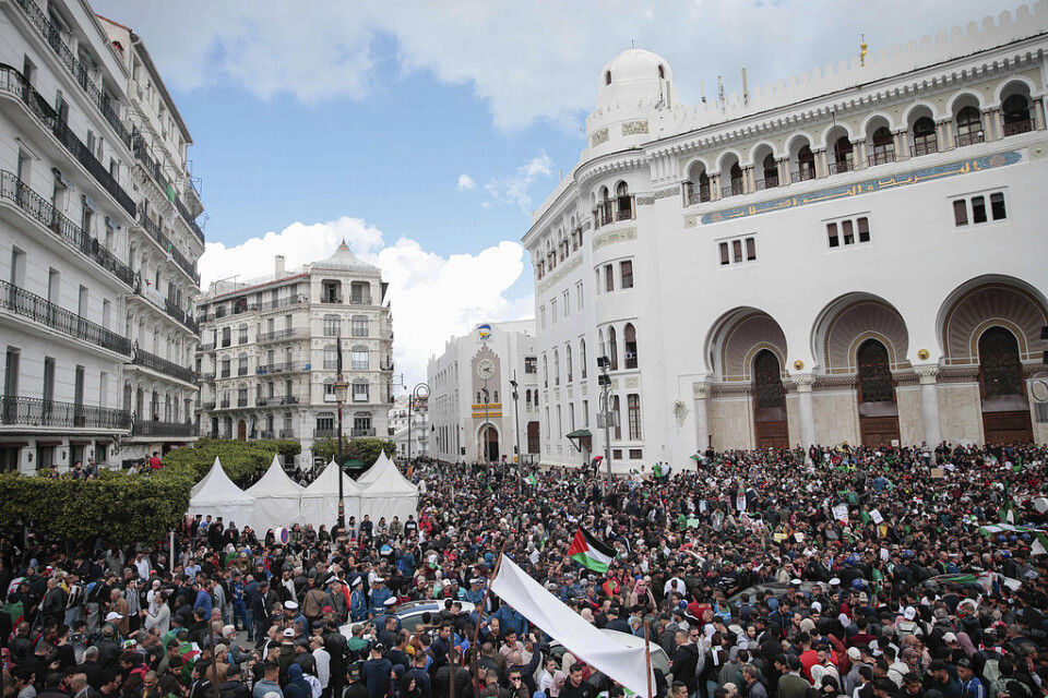 Protester i Alger på onsdagen.