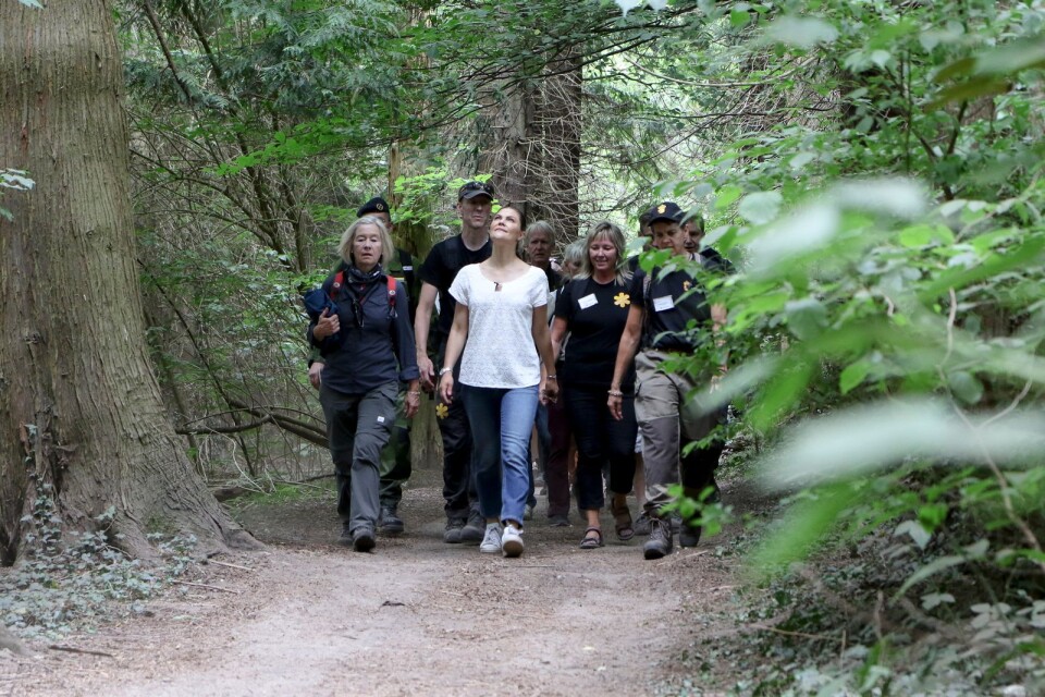 Flankerad av landshövding Anneli Hulthén och personal från nationalparken vandrar Victoria genom skogen.