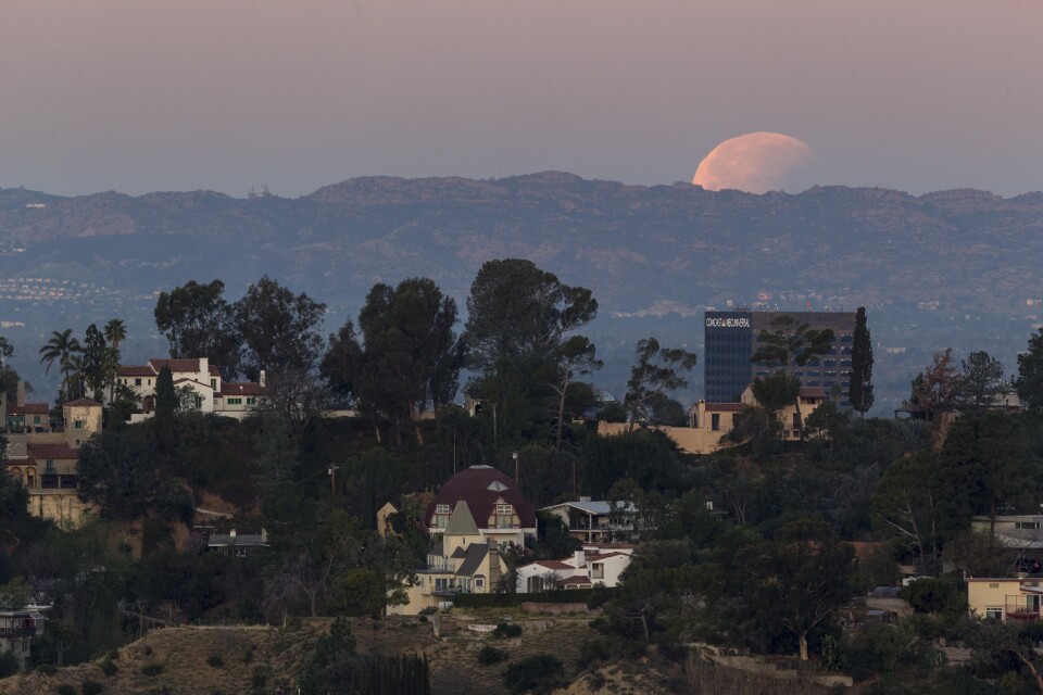 Hollywood Hills i Los Angeles, Kalifornien. Arkivbild.