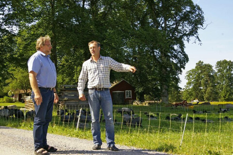 Samarbete över stora områden krävs för att hantera vildssvinsproblemen anser Martin Wikerstål och Karl-Eric Johansson.