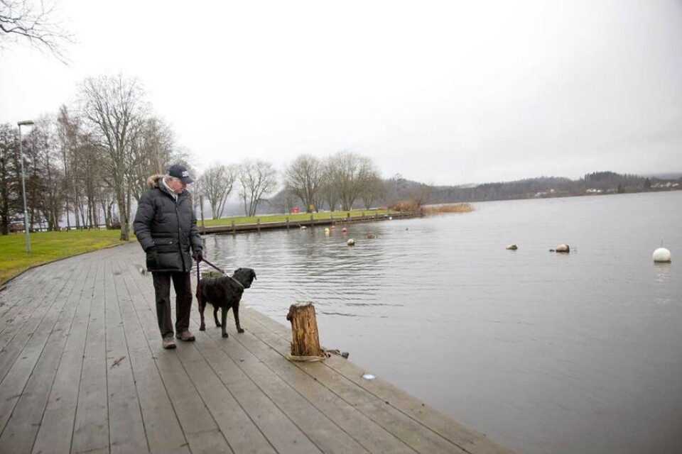 Christer Wolter och hunden Milou har bra koll på vattennivån i Åsunden. Vattenspegeln är nu en meter och 26 centimeter högre än höstens bottennotering.
