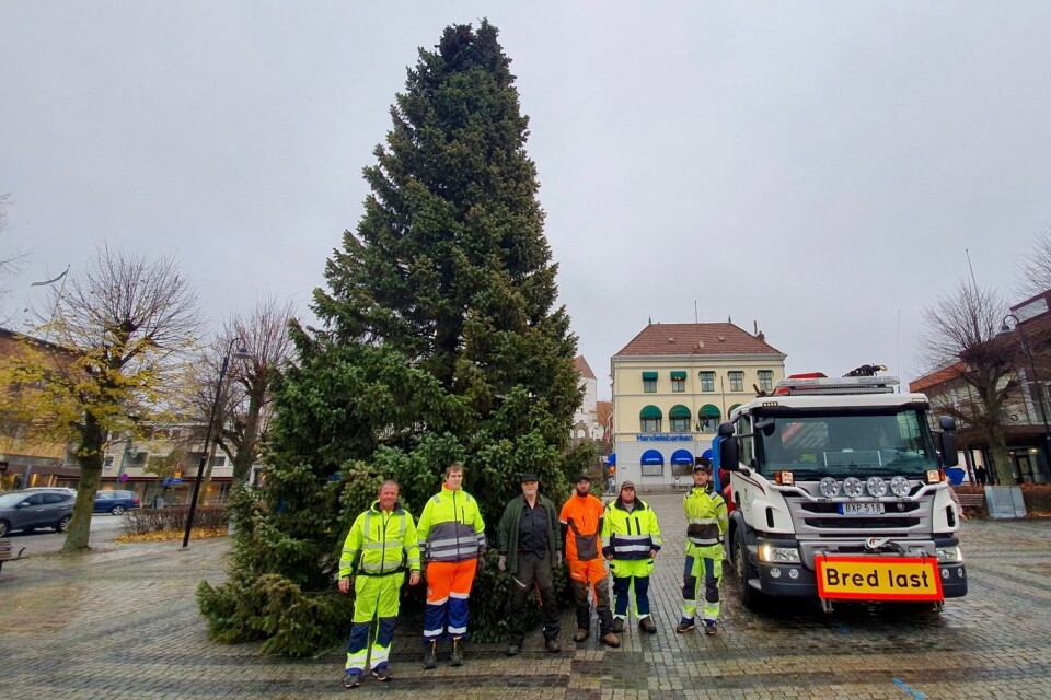 Ett tecken på att det lackar mot jul så här års är när den stora torggranen kommer på plats i Ronneby.