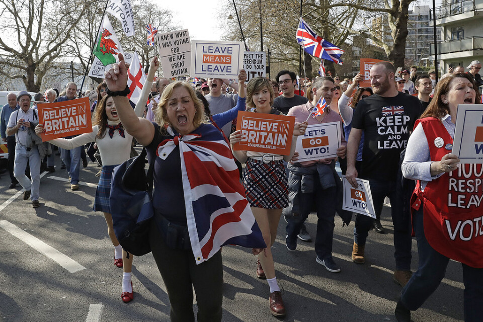 Brexitanhängare under en demonstration 29 mars.