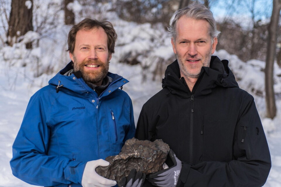 Anders Zetterqvist och Andreas Forsberg hittade stenen. Arkivbild.