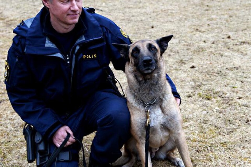 Lei-Anns Besk: 6 år, malinois, patrull- och narkotikahund. Hundförare är Ronny Holmberg.