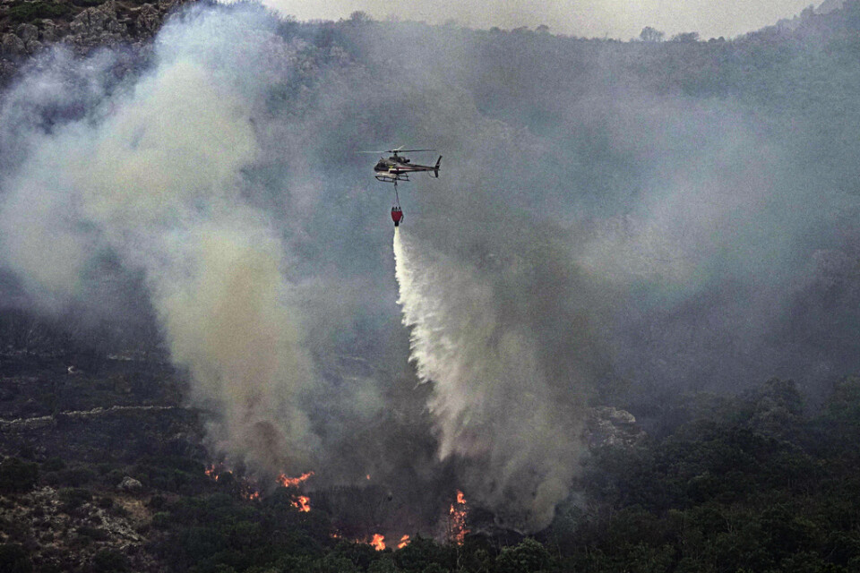 En helikopter släpper ner vatten i ett skogsområde i provinsen Oristano på Sardinien.