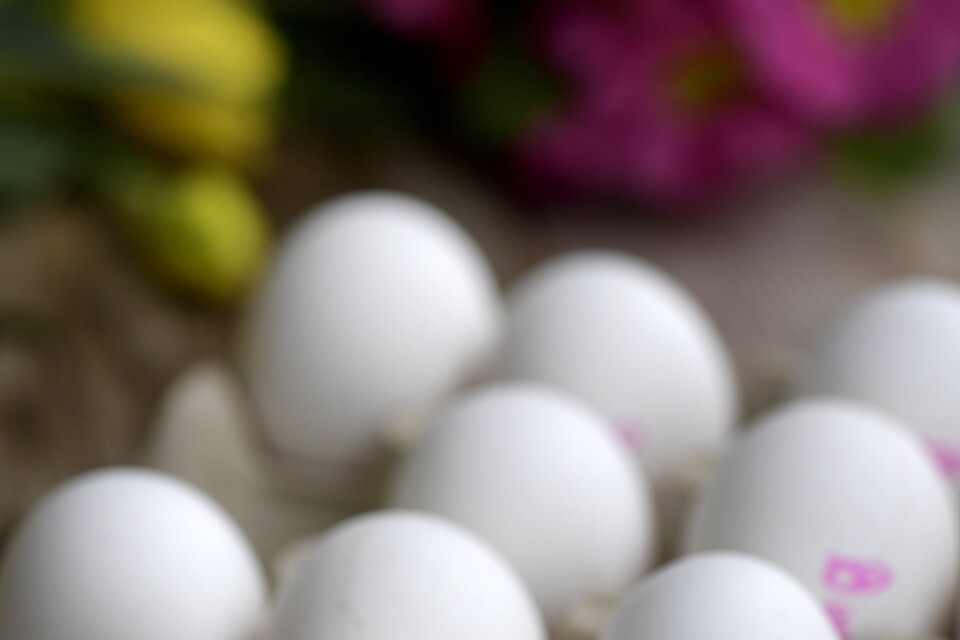 Ägg är kanske världens mest användbara livsmedel. En hel del lär gå åt i påsk.