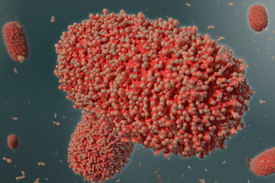 Läkemedlet mot apkoppor som nu finns i Sverige har efterfrågats av läkare. Här en 3D-illustration av apkoppsviruset.