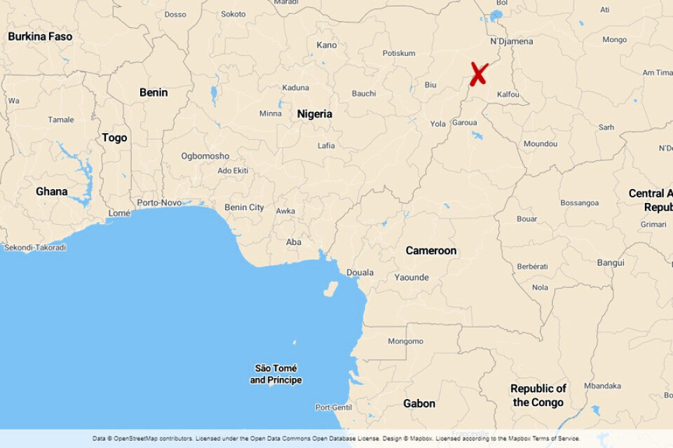 Minst sju har dödats i ett självmordsdåd i norra Kamerun.