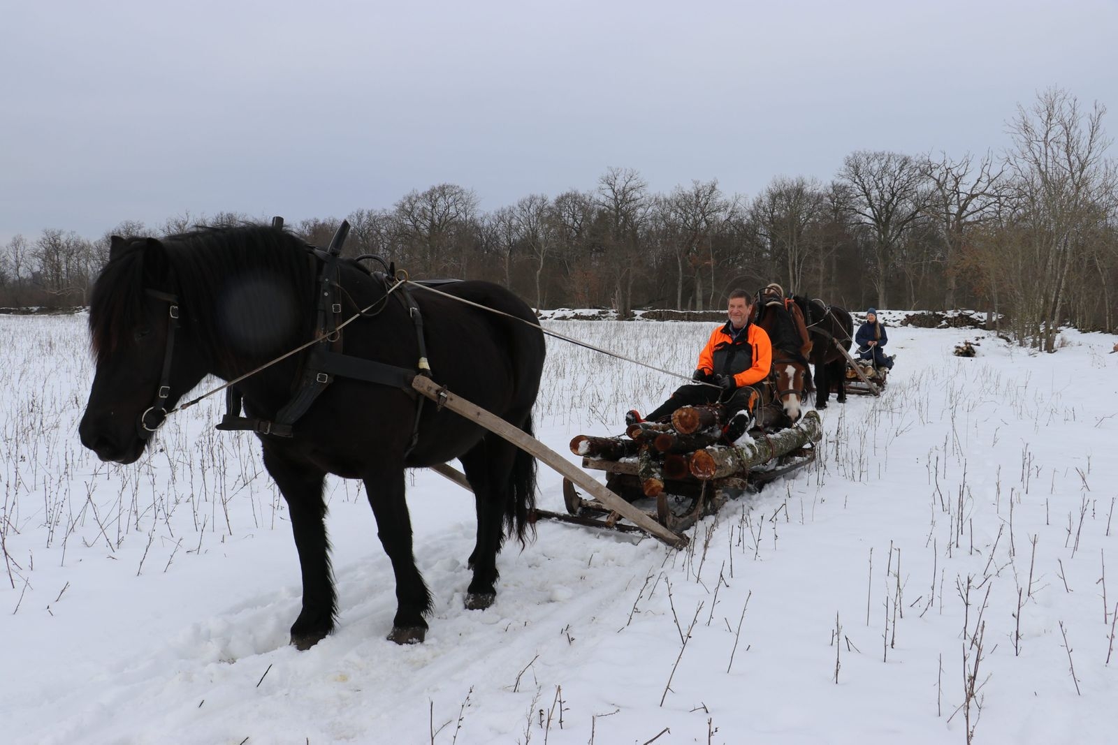 I snön glider lassen lättare, men lastas ändå alltid noggrant och med omtanke för hästarnas bästa.
