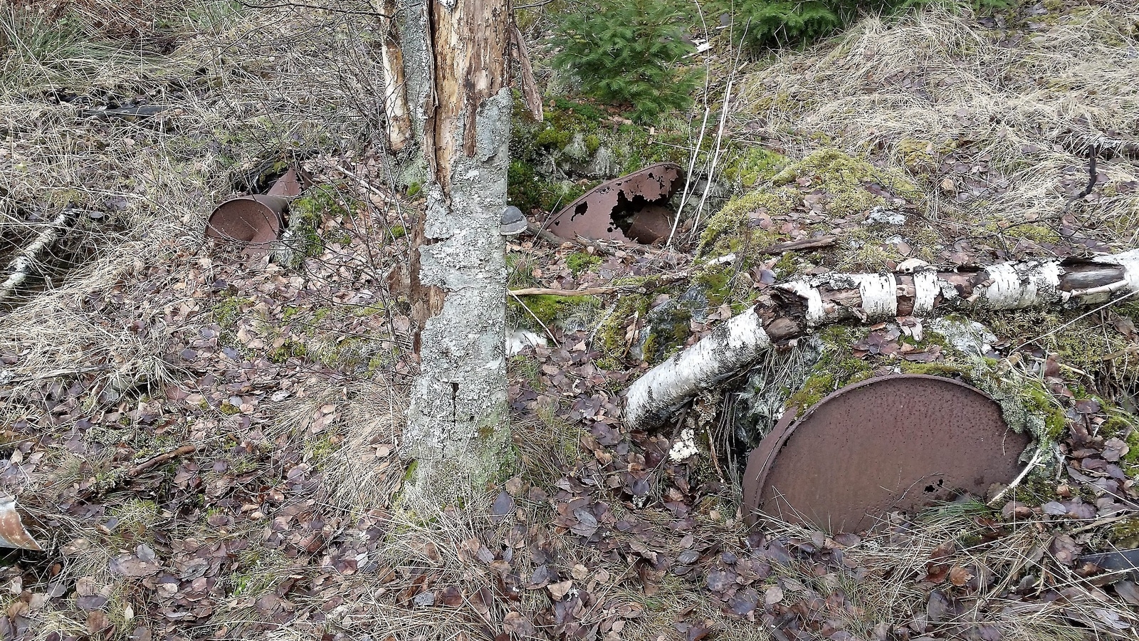 Ett tiotal tunnor, helt sönderrostade, påträffades i marken. Fler antas finnas under jord och växtlighet. Foto: Miljökontoret