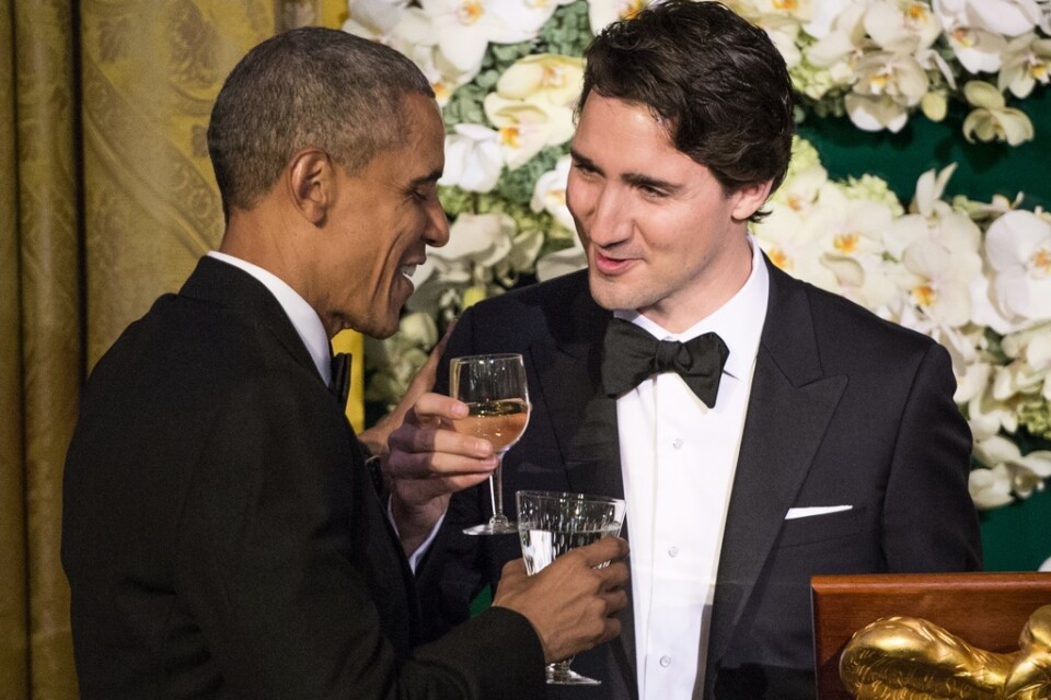 Barack Obama och Justin Trudeau skålar i Vita huset, 2016. Arkivbild.