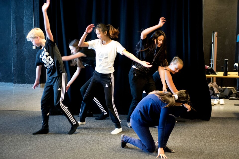 Kulturskolan har i dag cirka 375 kursdeltagare inom dans, bild, drama/scenkost och musik.