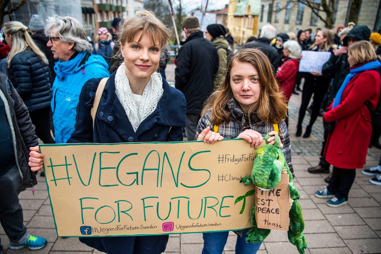 Friday for future genomfšrde en klimat demonstration i Karlskrona. Klimatmarsch pŒ bild