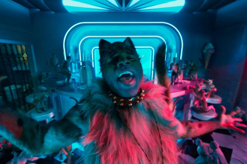 Katten Rum Tum Tugger (Jason Derulo) presenterar sig i en scen i filmen.