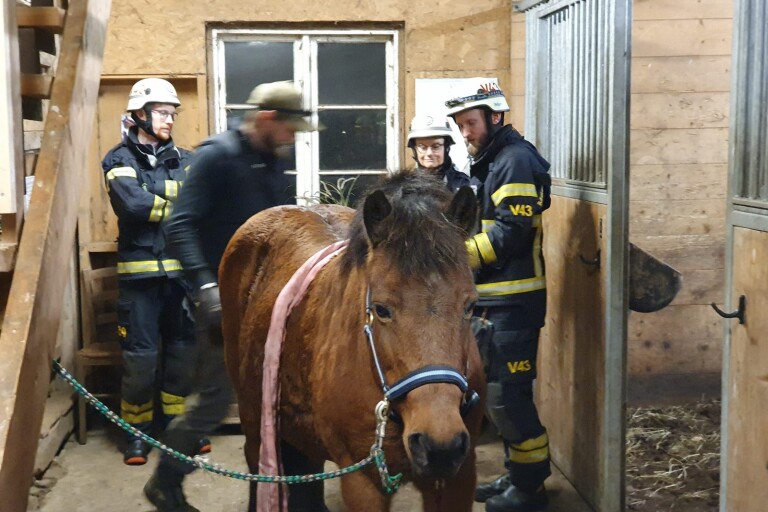 Räddningstjänst tränar på att undsätta hästar: ”De har lätt för att bli rädda”