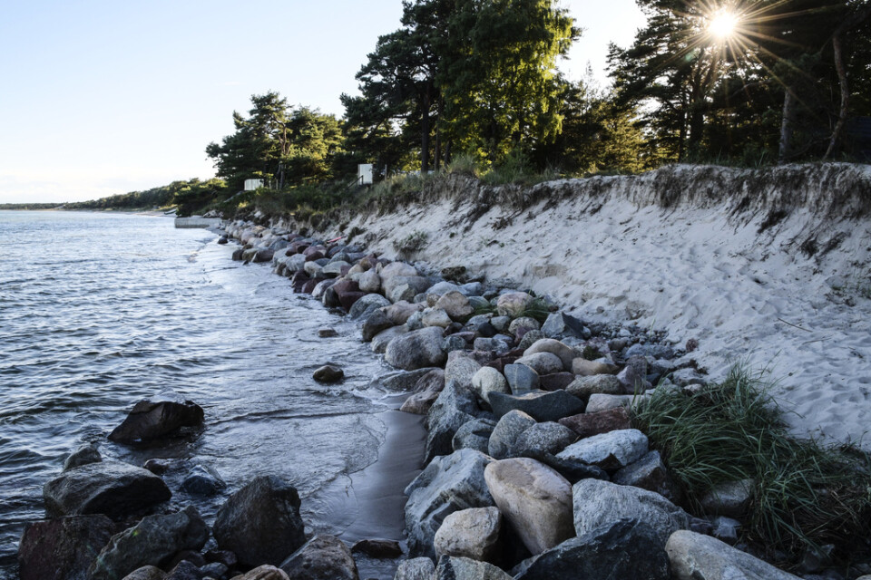 Åhus 2017: Vid Strandvägen i Äspet i Åhus når havet ända upp till skogsbrynet. Arkivbild.