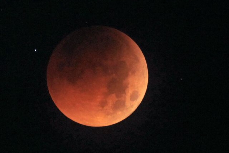 Stor och orange stiger den förmörkade månen upp på lördag. Foto: Scanpix