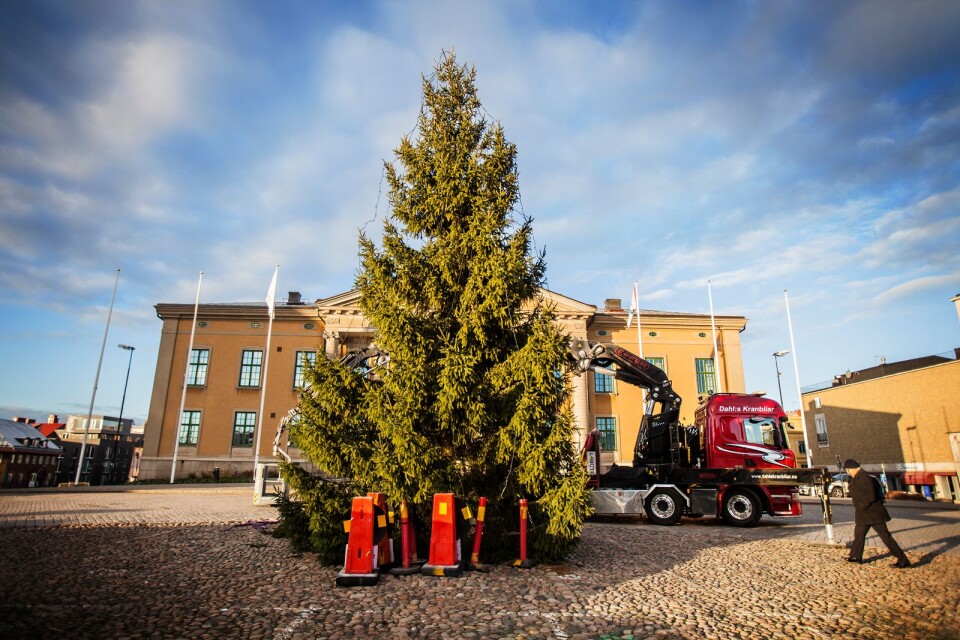 Karlskronas julgran på torget för 2018 är på plats.