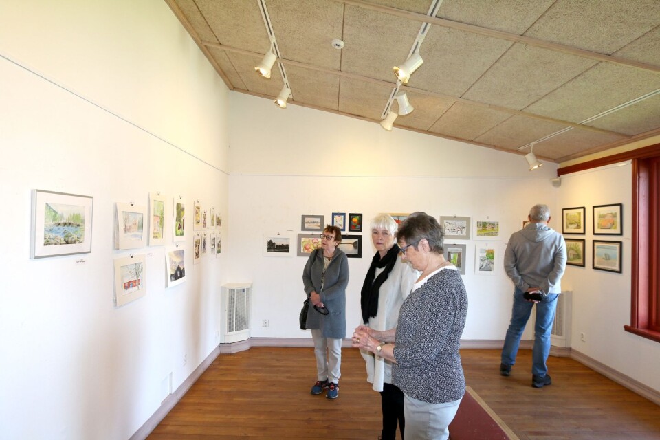 Utställarna Kerstin Bohman och Pia Holmberg (närmast) guidar besökarna Ann-Margreth Sjödin och Kurt Nilsson.