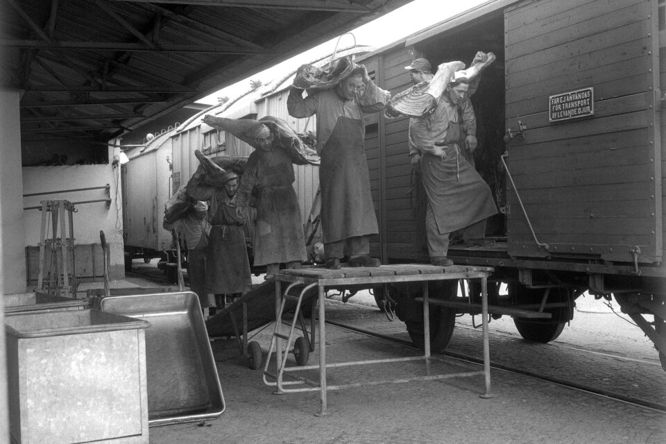Tänk så många klon dessa män burit på sina ryggar! Här lastar KBS nötkött för transport troligen till Stockholm 1956. Kan ni berätta något mer om hur det var att jobba på KBS på den tiden?