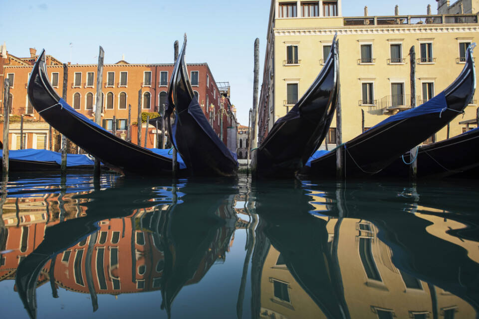 När gondolerna i Venedigs kanaler stannade så klarnade vattnet och fiskarna återvände – en oväntad konsekvens av viruset. Arkivbild.
