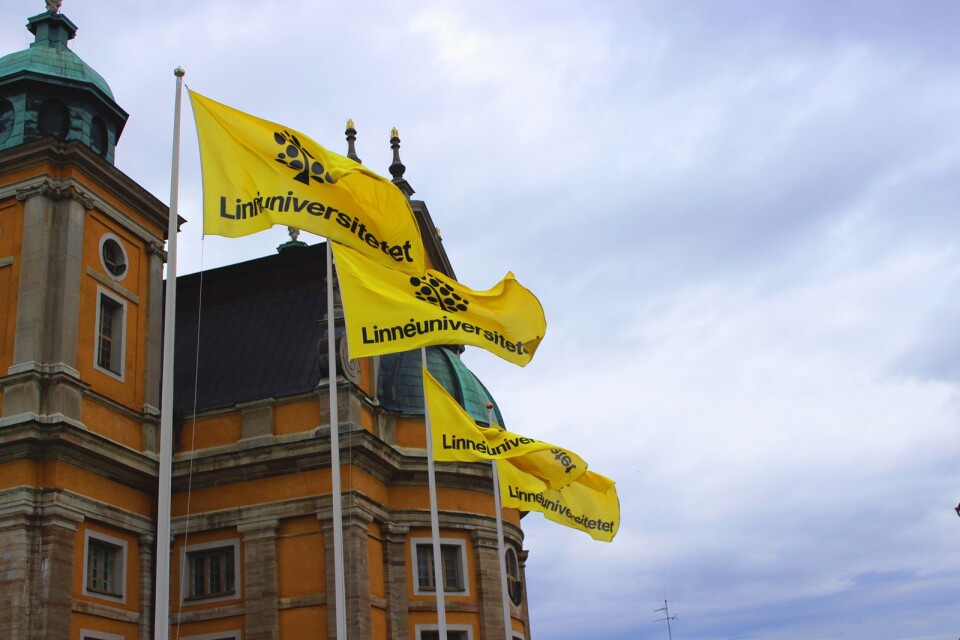 Linnéuniversitetes flaggor hisas på Stortorget när Linnaeus University Summer Academy kör igång för tredje året i rad.