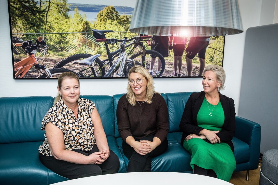 Bland styrelsemedlemmarna i Ulricehamns företag är 35 procent kvinnor. Det vill Marie Nyström-Rahner, Camilla Palm och Nadja Törnblad ändra på genom en utbildningssatsning som ska få fler kvinnor att ta plats i bolagens styrelser.