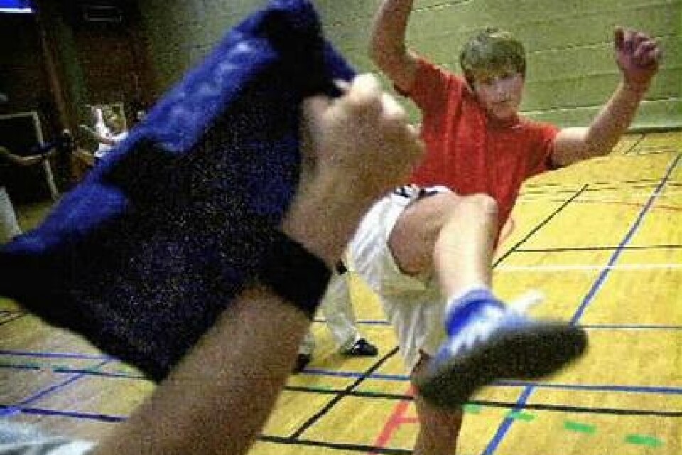 Några av niondeklassarna på Göingeskolan har fått lära sig ett och annat om taekwondo under den gångna veckan. BILD: TOMMY SVENSSON