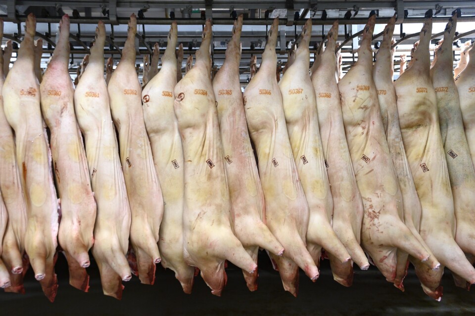 I Sverige slaktas årligen över 100 miljoner landlevande djur, skriver aktivister som vill se ett slut för köttproduktionen.