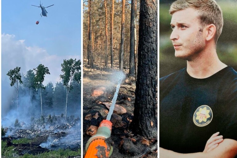 Skogsbranden i Finsjö satte alla på prov: ”Vi kämpade som djur”