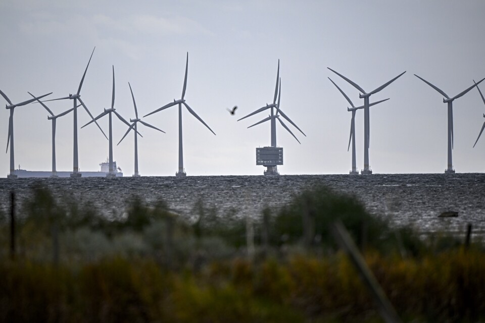 "Ett robust elsystem kräver planerbar baskraft – det vill säga vattenkraft, kärnkraft eller fossilkraft.”