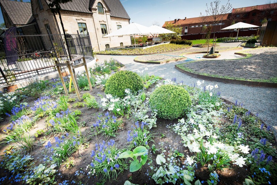 I trädgården ska något blomma året runt, enligt trädgårdsarkitekterna på Åhusfirman Form & Struktur som gjort den.