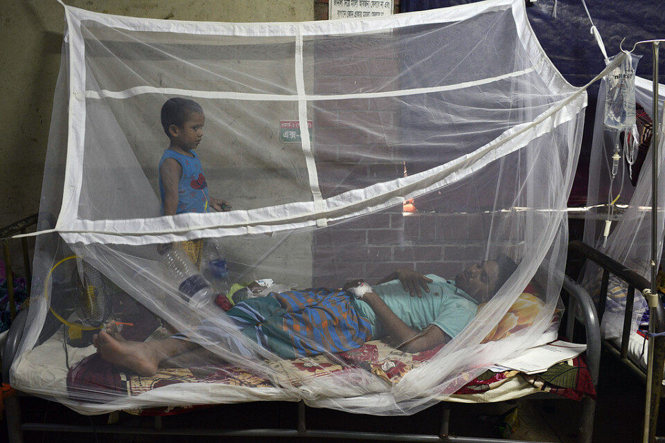 Ett barn står vid sin pappa som behandlas för denguefeber i Dhaka. Arkivbild.