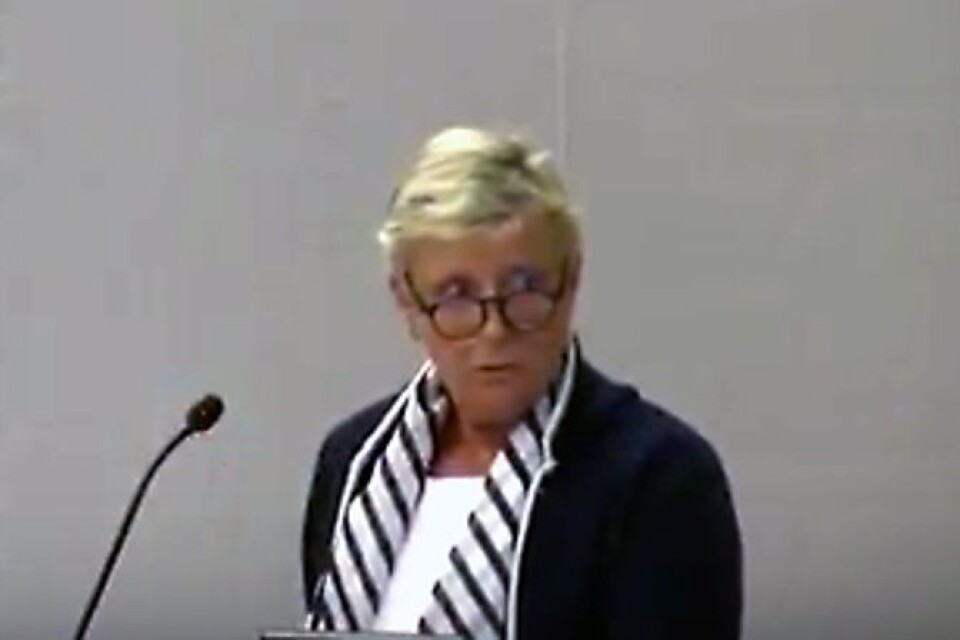 Ingridh Anderén (M) argumenterade för att Moderaterna skulle få partistöd trots missen.