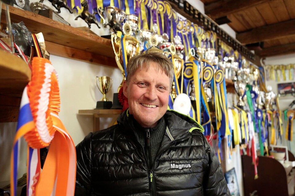 2003 vann Magnus Skulason sitt första guld inom hästsporten med islandshästar, den näst största hästsporten i Sverige.